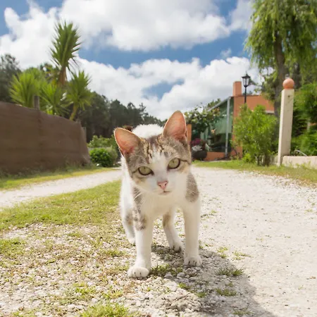 Gospodarstwo wiejskie De Lires