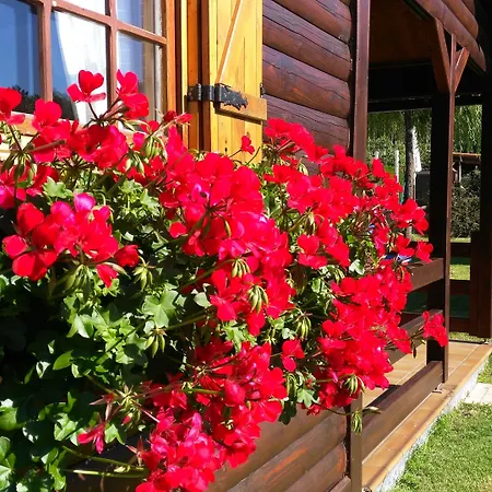 Gospodarstwo wiejskie De *