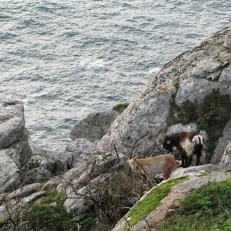 Landsted De Lires