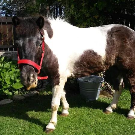 De Séjour à la campagne