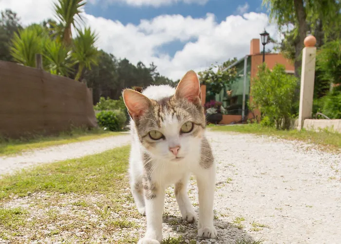Casa de Campo De Lires